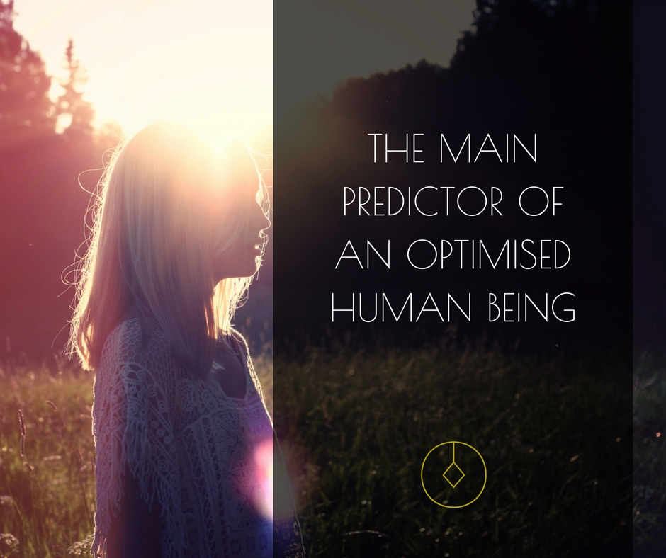 The main predictor of an optimised human being